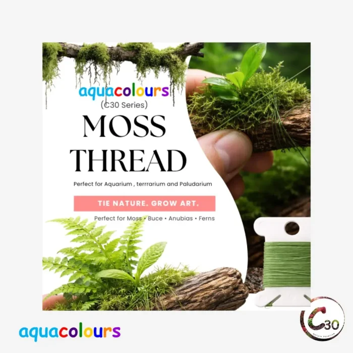 Aquacolours C30 Moss Thread for Aquascaping | Strong, Invisible & Plant-Safe Thread