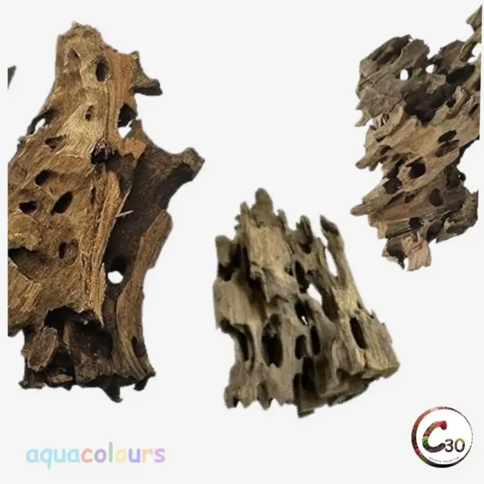 Shrimp Wood / Honey Comb Wood