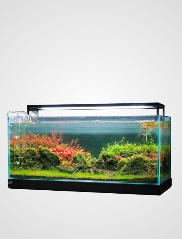 Untitled design (2) (1)