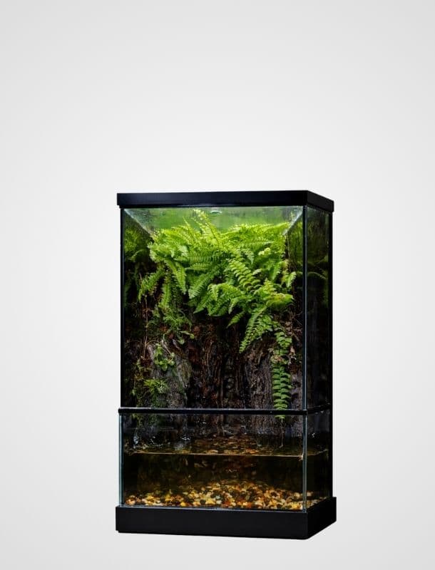 Untitled design (4) (1)