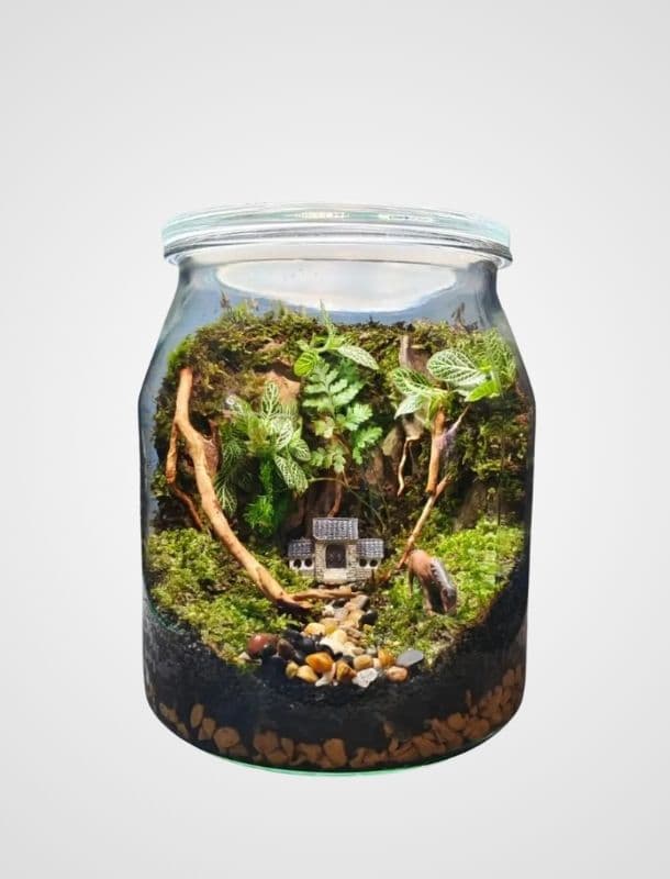 Untitled design (5) (1)