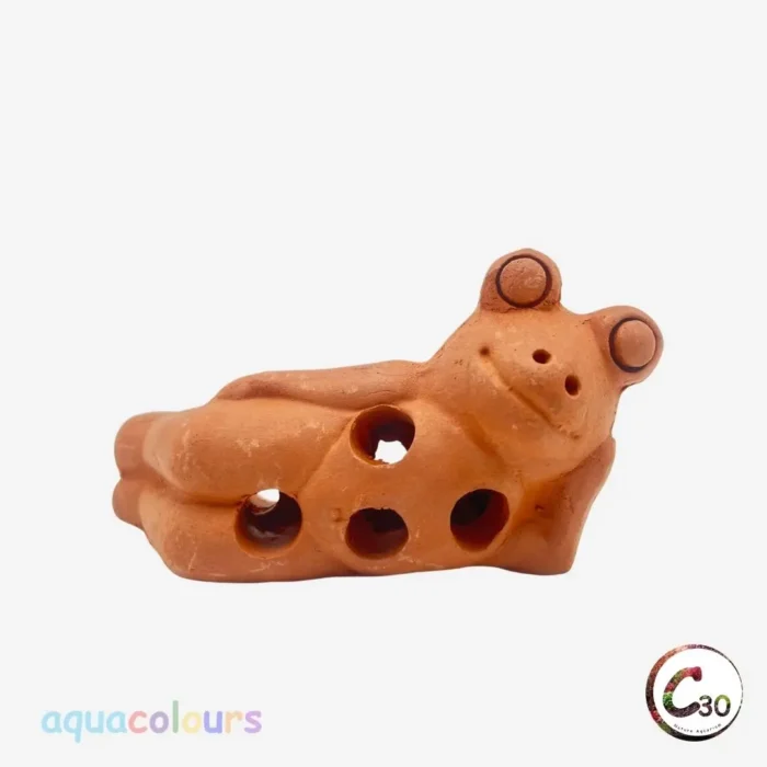 Shrimp Cave in bangalore